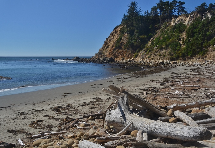 South Cove Cape Arago